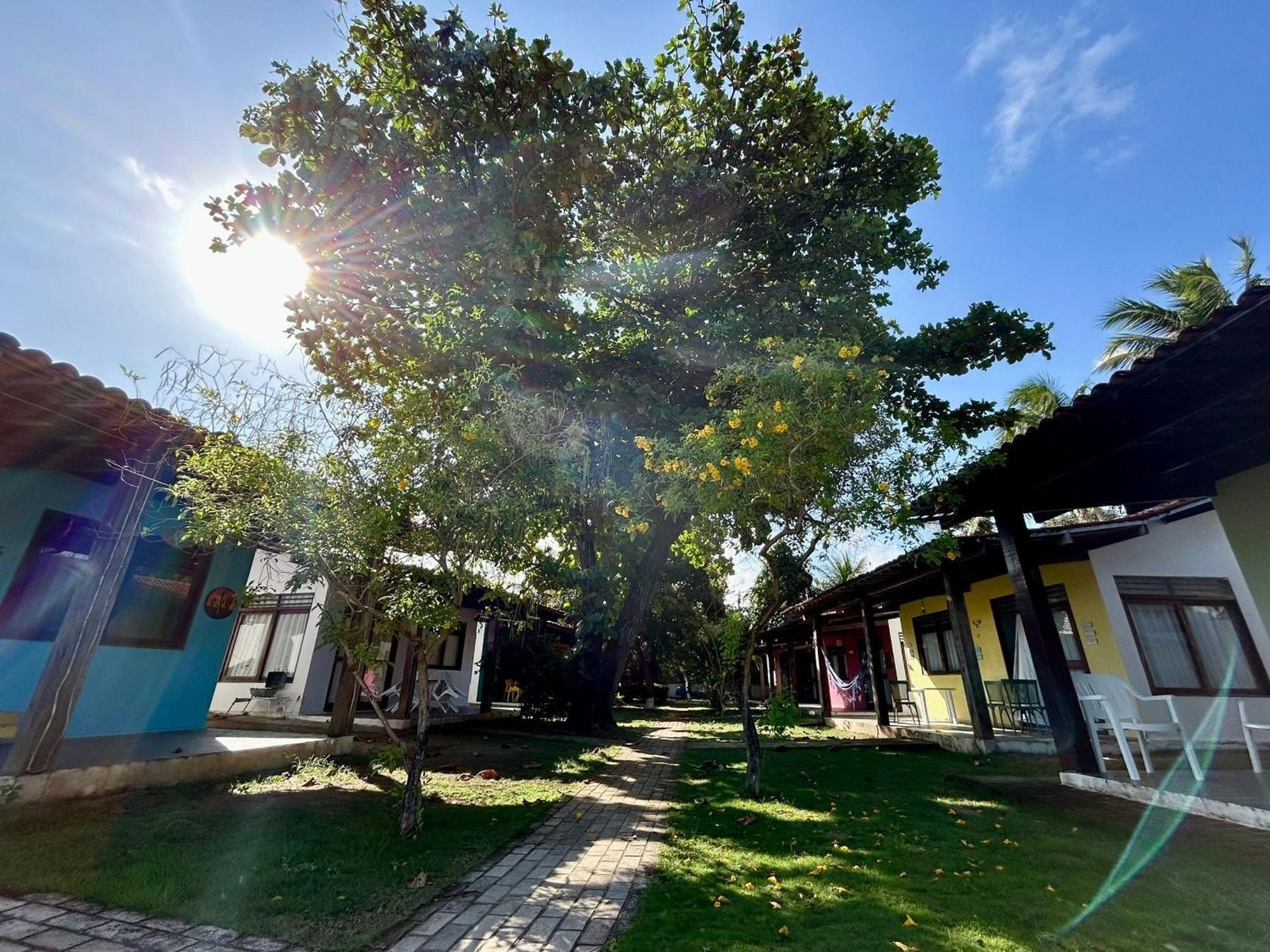 Chales Praias Brasileiras Марагоджи Екстериор снимка